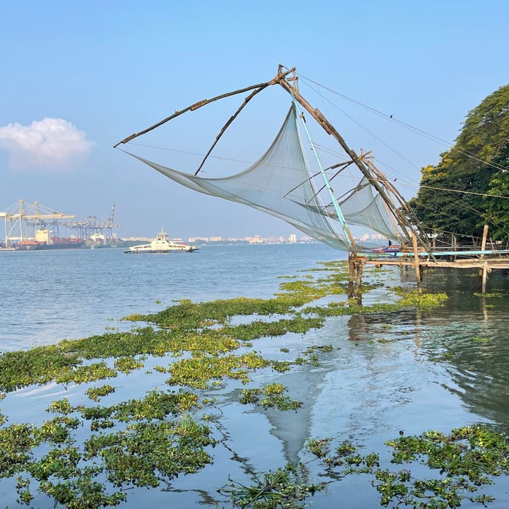 A large cantilevered fishing net on a wooden frame stands at the water's edge, with a ferry and port cranes across calm water, a leafy tree to the right and green water plants in the foreground under a hazy blue sky.