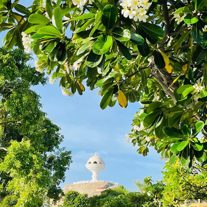 A white domed monument stands in the distance, seen through a gap in lush green trees and white frangipani blossoms under a blue sky.