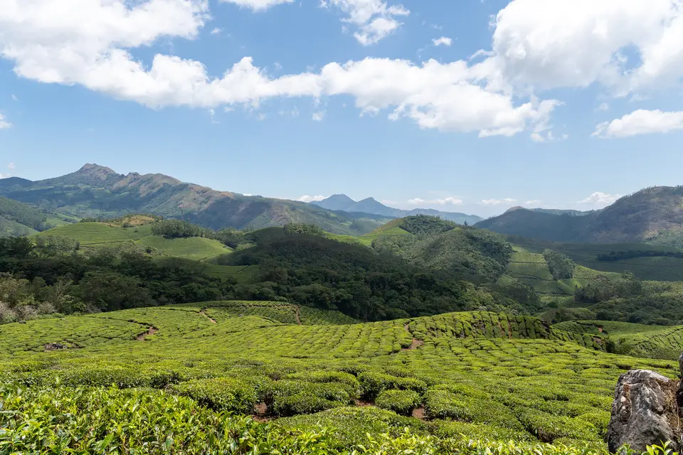 Green grassland hills and forest patches in Eravikulam National Park with blue sky.